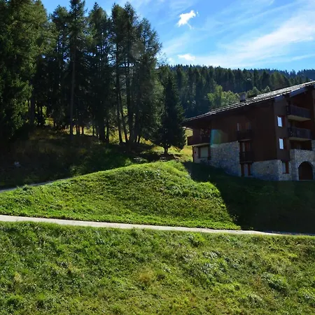 Cosy 2 Pieces + Cabine, Ski-in/ski-out, Balcon Sud, Renove, 6 Pers, Montchavin Les Coches - Fr-1-329-15 Apartment